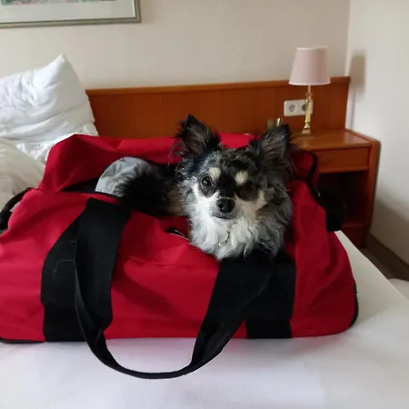 Girbl Bio Zimmer * Strobl