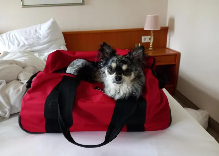 Girbl Bio Zimmer * ストローブル